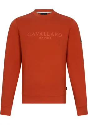 Cavallaro | Celio r neck sweat