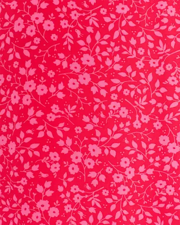 Freequent | FQADNEY-DRESS Lollipop W. Carmine Rose