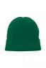 Ichi | IAIVO HO Cadmium Green