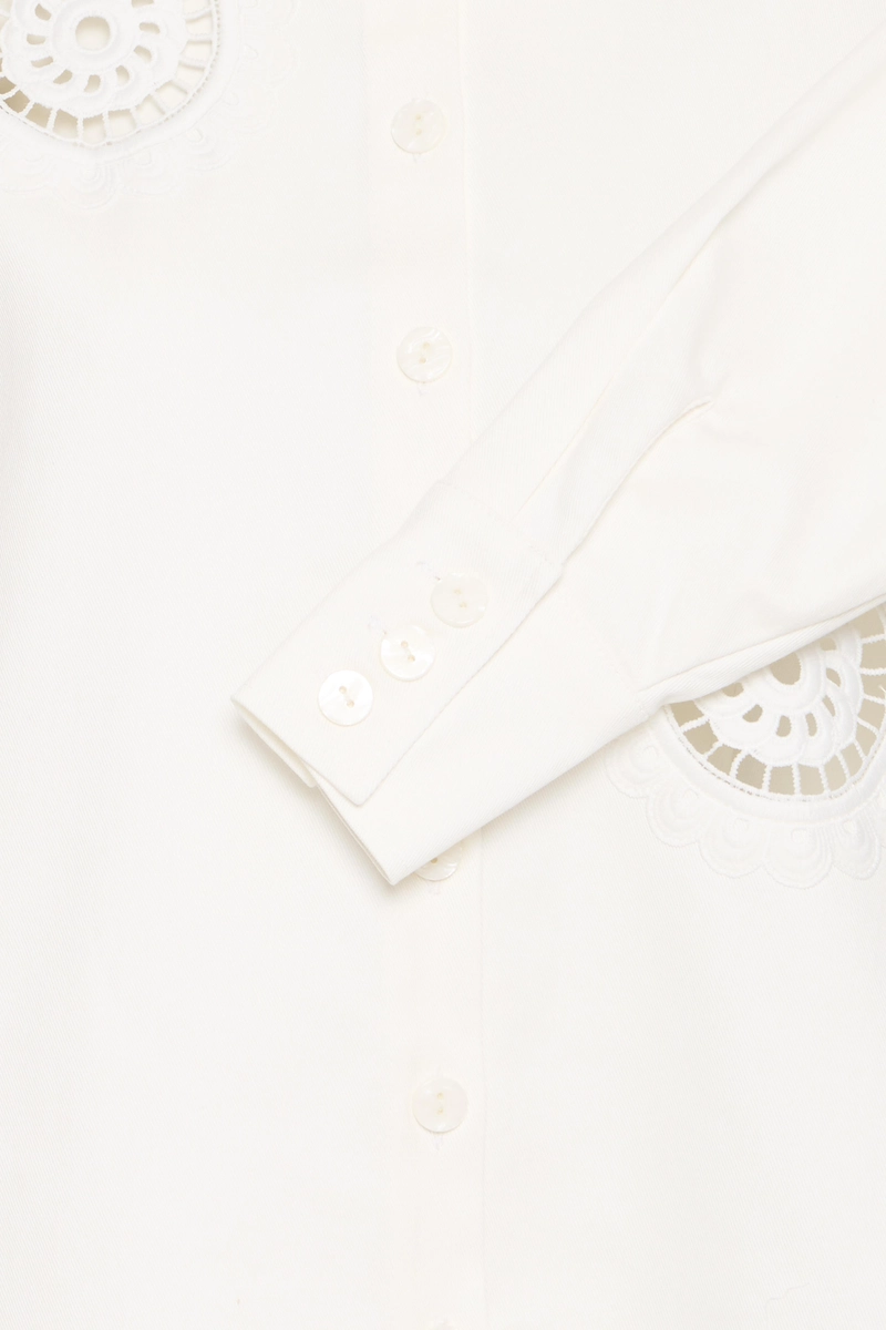Ichi | Ihcarolinas sh