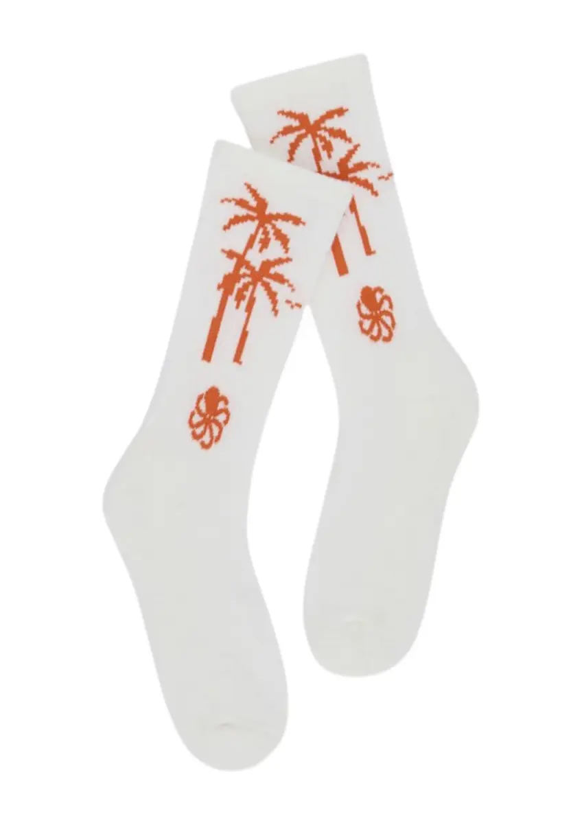 Jonsen Island | sock palm bit coconut
