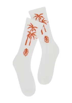 Jonsen Island | sock palm bit coconut