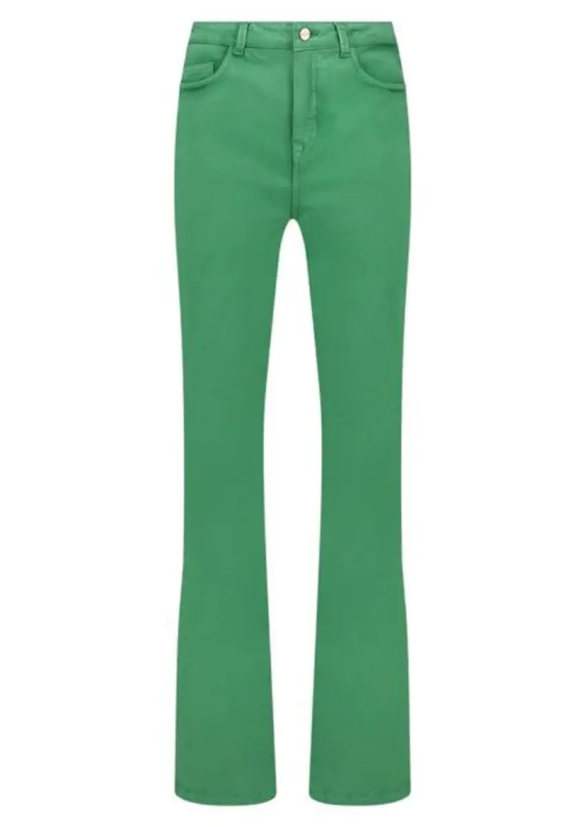 Nukus | Fem pants flare green