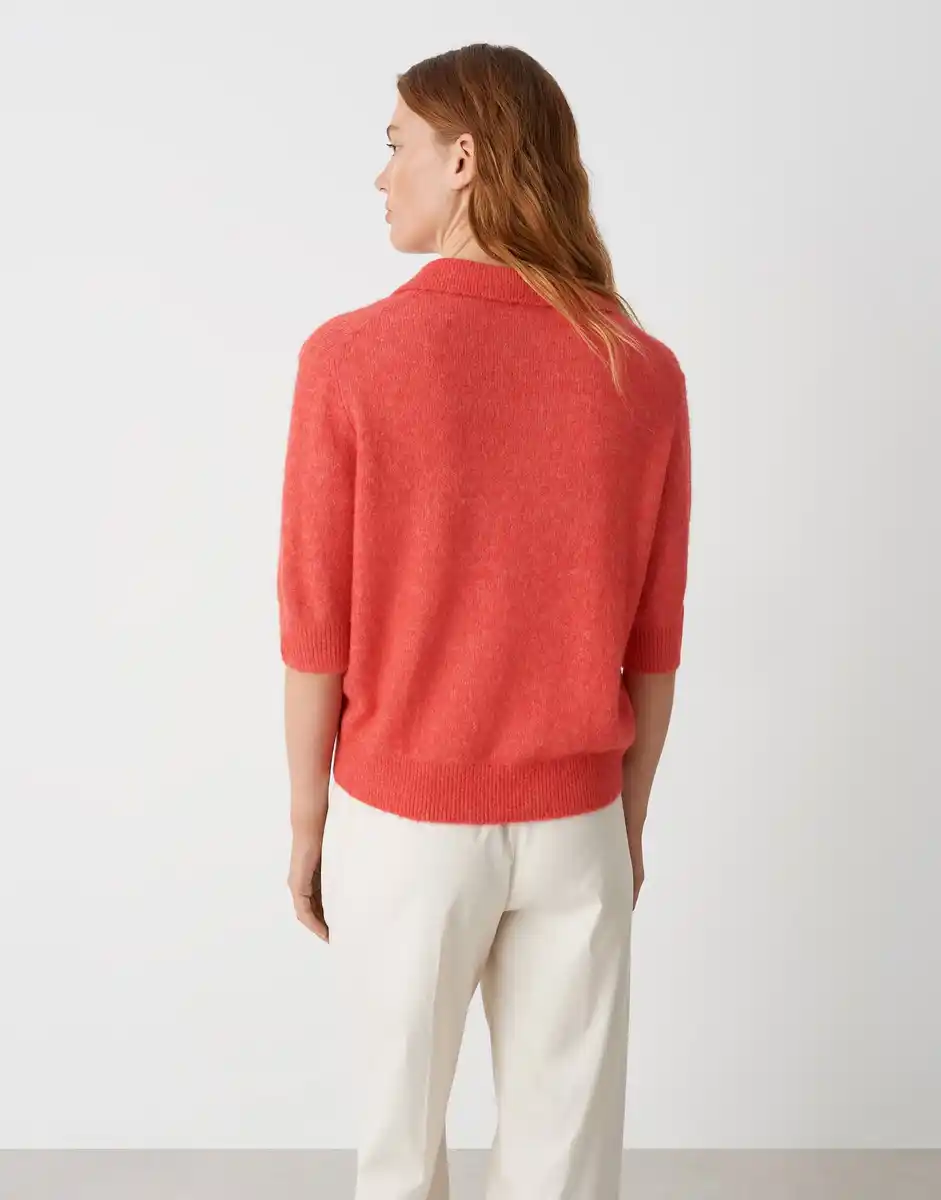 Opus | Pinna