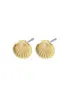 Pilgrim | Opal recycled seashell earrings gold-plated