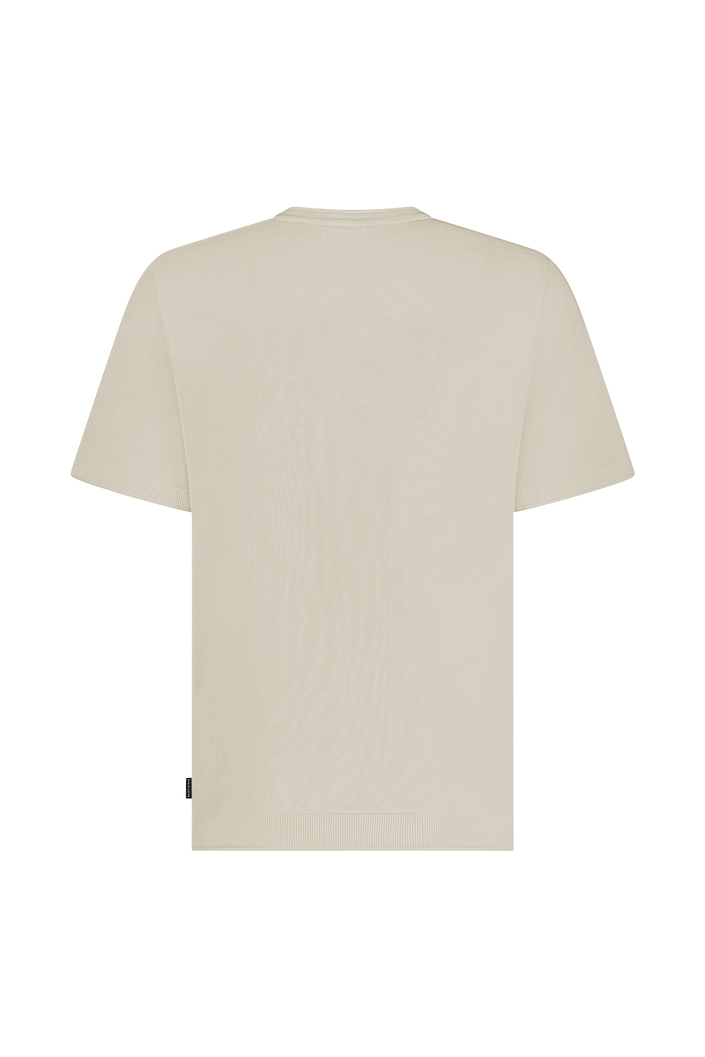 Saint Steve | TEUN