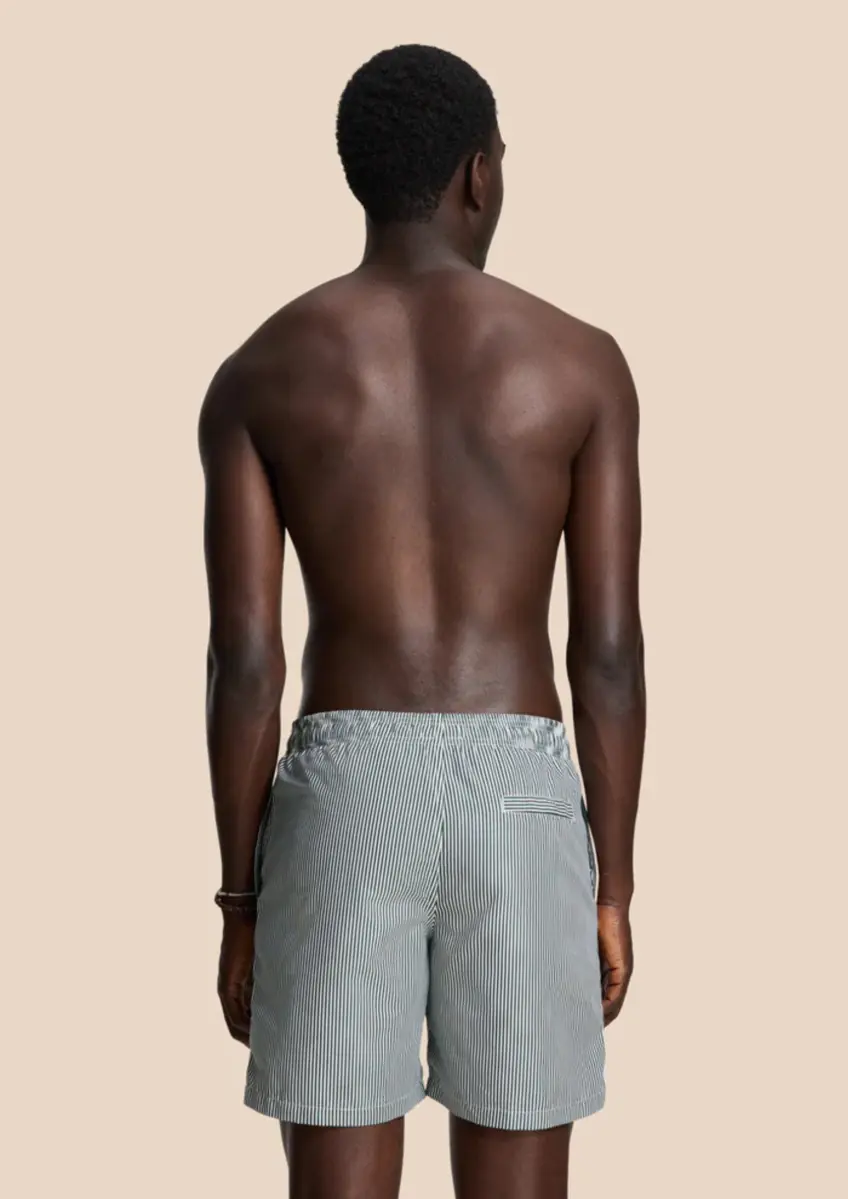 Shiwi | Men mike swim shorts 7inch fine stripe